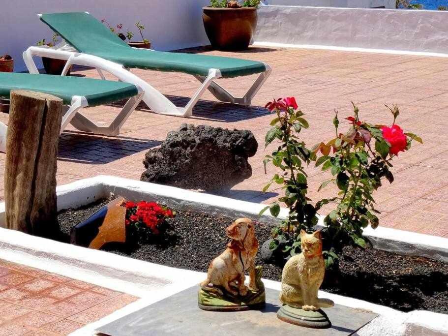 Casa Descanso Con Jacuzzi En פלאיה קמדה מראה חיצוני תמונה